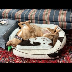 Meet your Posher, Heather